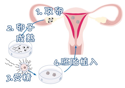 专家肖像